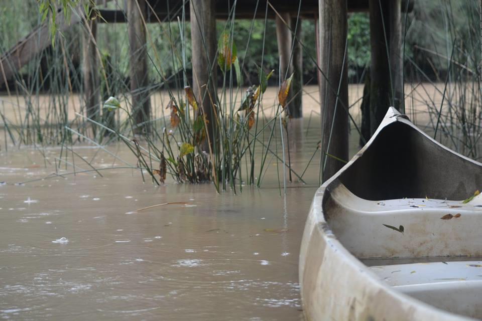 Cabanas Sidharta Tigre Exteriér fotografie